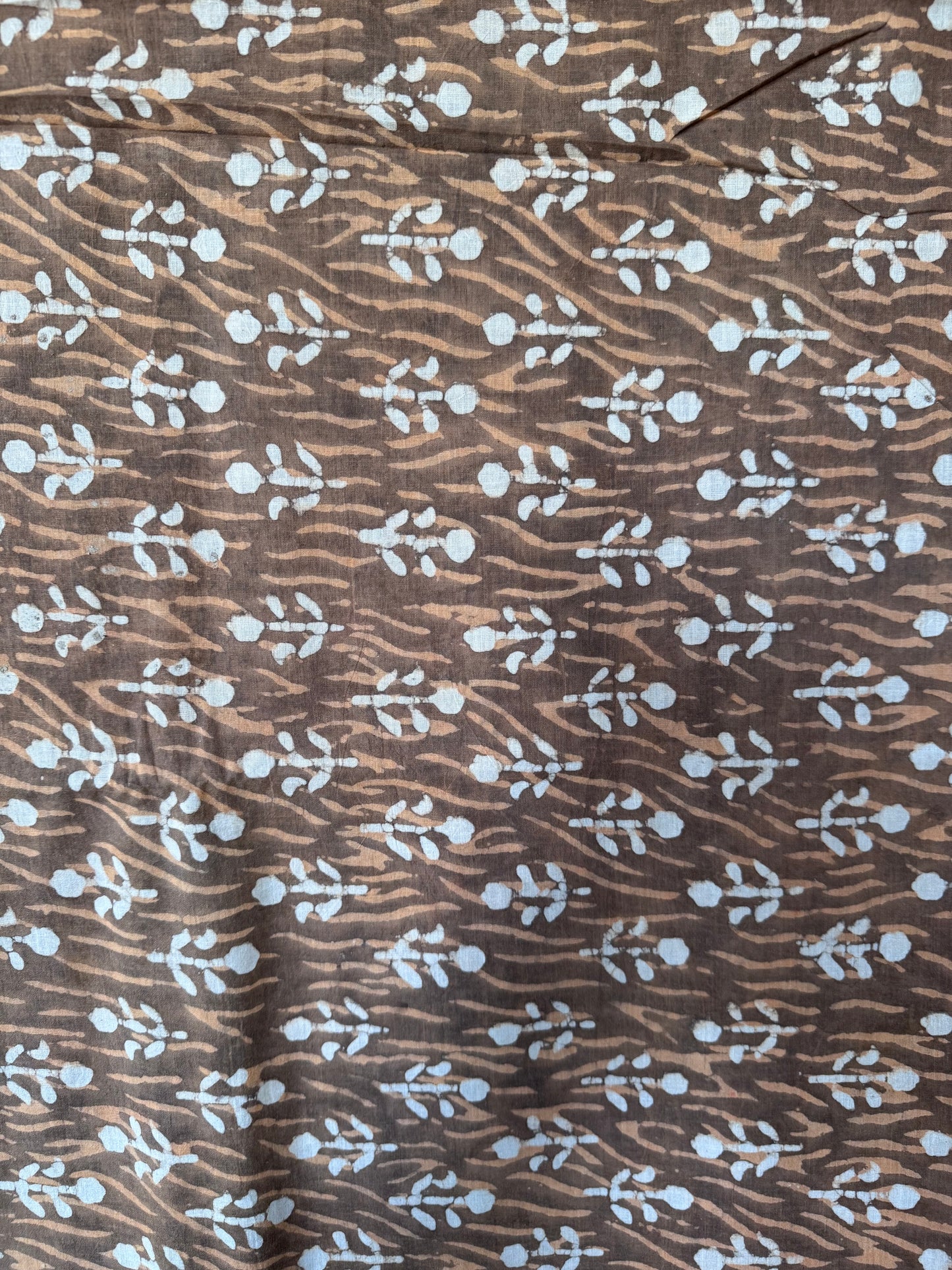 Bagru Bhoomi