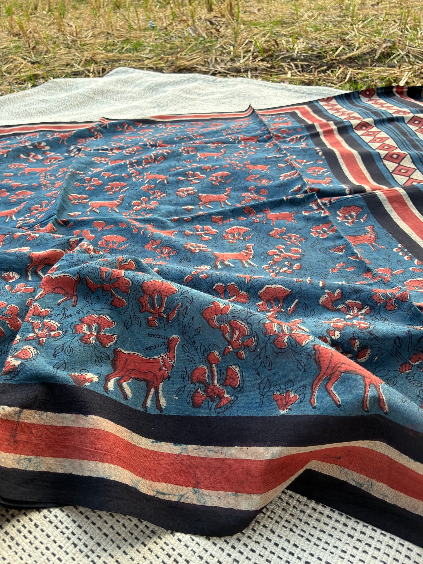Bagru Bhoomi